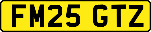 FM25GTZ
