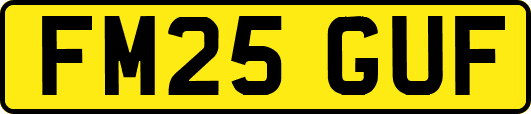FM25GUF