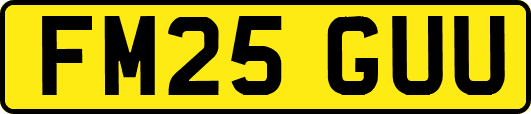 FM25GUU