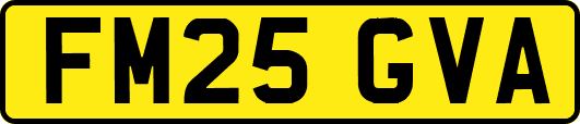 FM25GVA