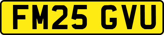 FM25GVU