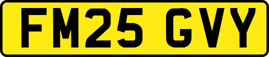 FM25GVY