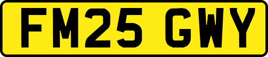 FM25GWY