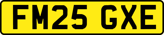 FM25GXE