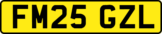 FM25GZL