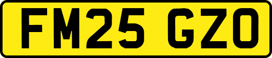FM25GZO