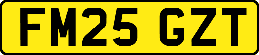 FM25GZT