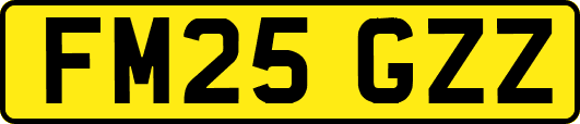 FM25GZZ
