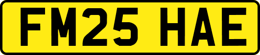 FM25HAE