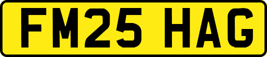 FM25HAG