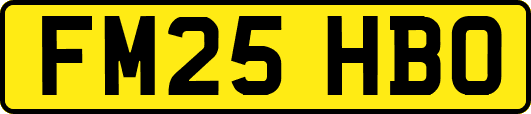 FM25HBO