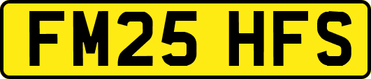 FM25HFS