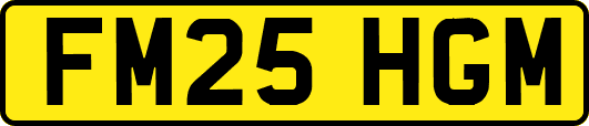 FM25HGM