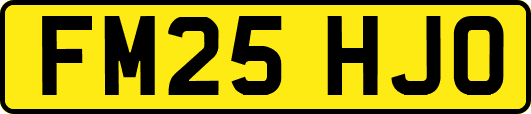 FM25HJO