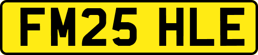 FM25HLE