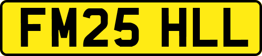 FM25HLL
