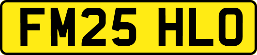 FM25HLO