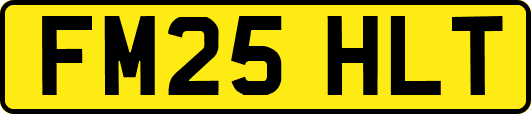 FM25HLT