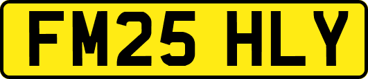 FM25HLY