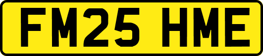 FM25HME