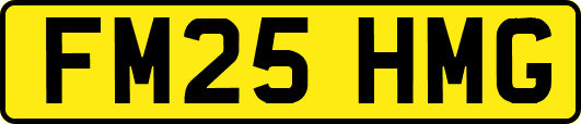 FM25HMG