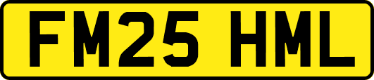 FM25HML