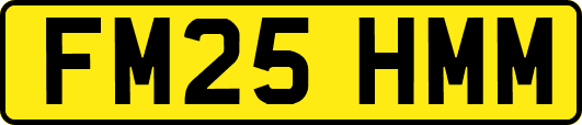 FM25HMM