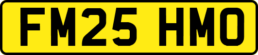 FM25HMO