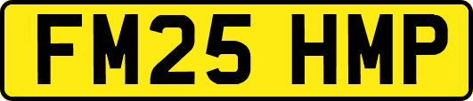 FM25HMP
