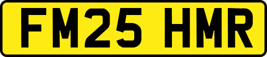 FM25HMR