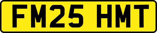 FM25HMT