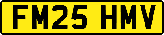 FM25HMV