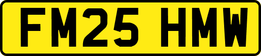 FM25HMW