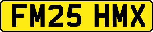 FM25HMX