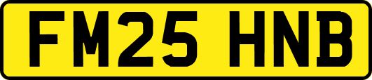 FM25HNB