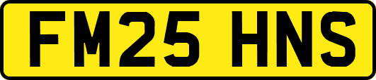 FM25HNS