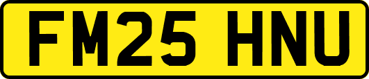 FM25HNU