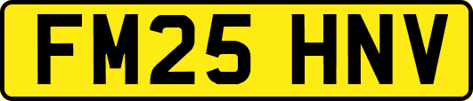 FM25HNV