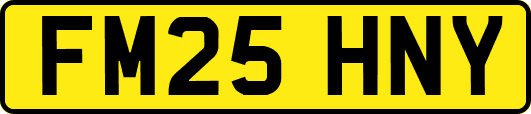 FM25HNY