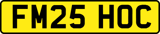 FM25HOC