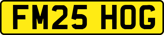 FM25HOG