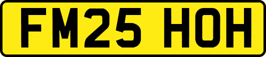 FM25HOH