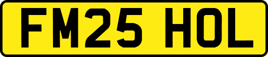 FM25HOL