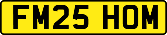 FM25HOM