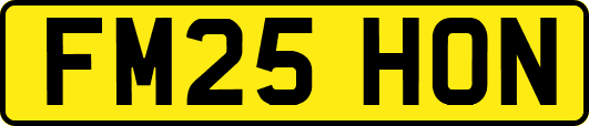 FM25HON