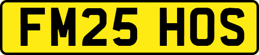 FM25HOS