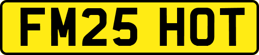 FM25HOT