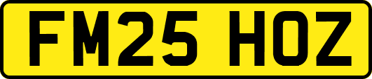 FM25HOZ