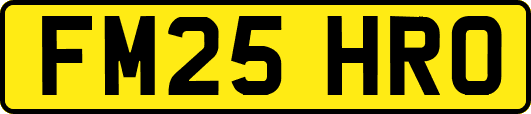 FM25HRO