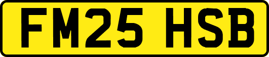FM25HSB